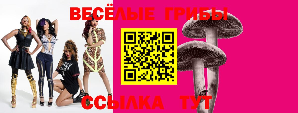 Псилоцибиновые грибы мицелий Вологда